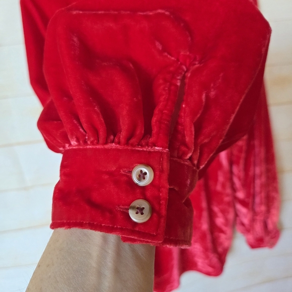 Pilcro Puff Sleeve Velvet Front Buttons Long Sleeve Vibrant Blouse Shirt Medium - Picture 10 of 14